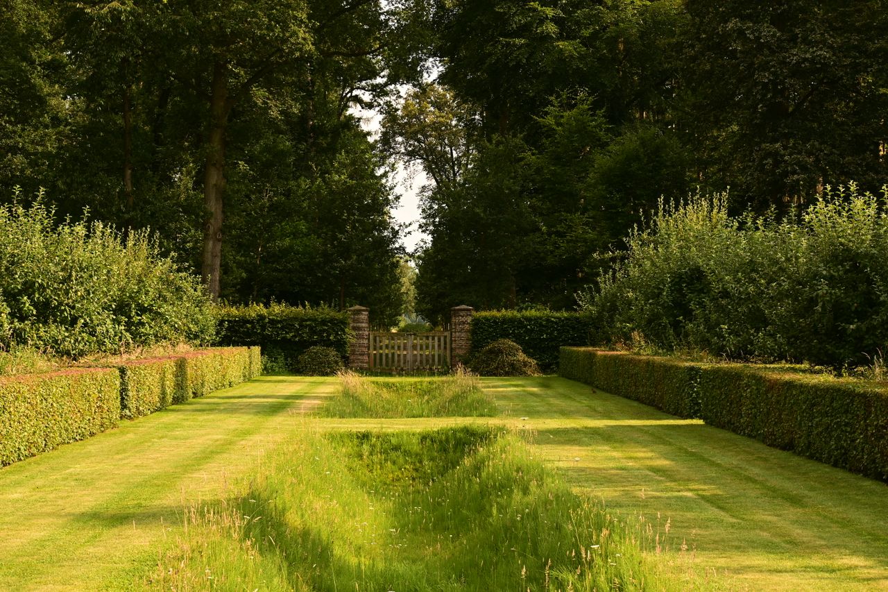 Gepflegter, heckengesäumter Gartenweg im Abendlicht